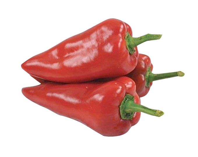 Chervena Chushka Sweet Pepper - Heirloom 15 seeds