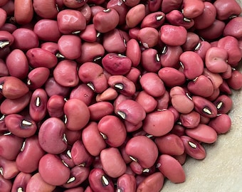 Kirkpatrick Pea - Very Rare heirloom seeds