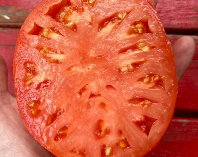 Italian Heirloom Tomato - Heirloom 10 seeds