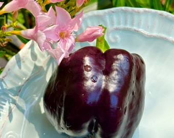 Purple Beauty Pepper - Heirloom 15 seeds
