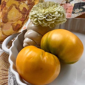 Butter n Eggs Tomato - RARE heirloom 10 seeds