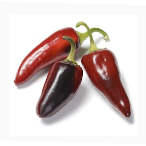 Hungarian Paprika Spicy Pepper - RARE Heirloom 15 seeds