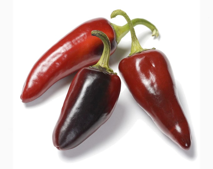 Hungarian Paprika Spicy Pepper - RARE Heirloom 15 seeds