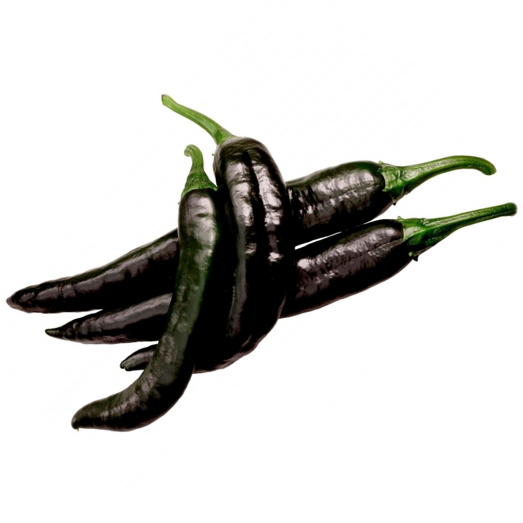 Pasilla Bajio Mild Chili Pepper - Heirloom Seeds - Etsy