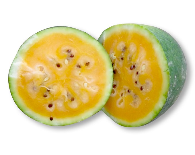 Sweet Siberian Watermelon - RARE heirloom 10 seeds