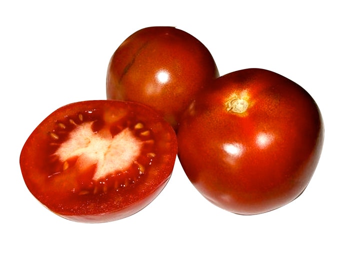 Black Ethiopian Tomato - RARE Heirloom 15 seeds