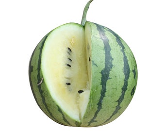 Cream of Saskatchewan Watermelon - heirloom 10 seeds