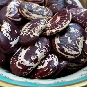 May include: A close-up of a bowl filled with speckled, maroon-colored beans. The beans have a white marbling pattern.