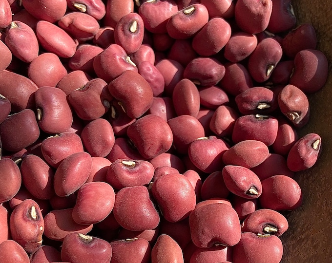 Alabama Purple Hull Peas - Heirloom seeds