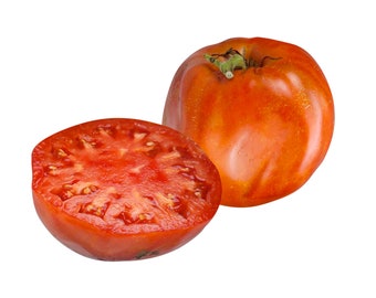 Italian Heirloom Tomato - Heirloom 10 seeds