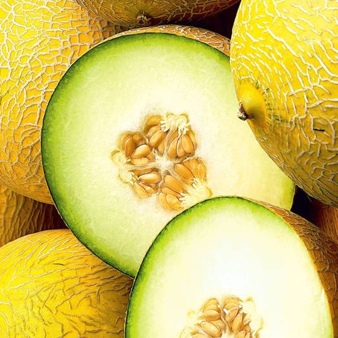 Israel Melon RARE Heirloom 10 Seeds Etsy