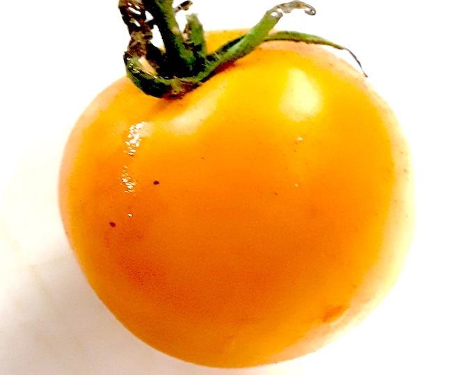 Hillbilly Golden Jubilee Tomato - RARE Heirloom 20 seeds