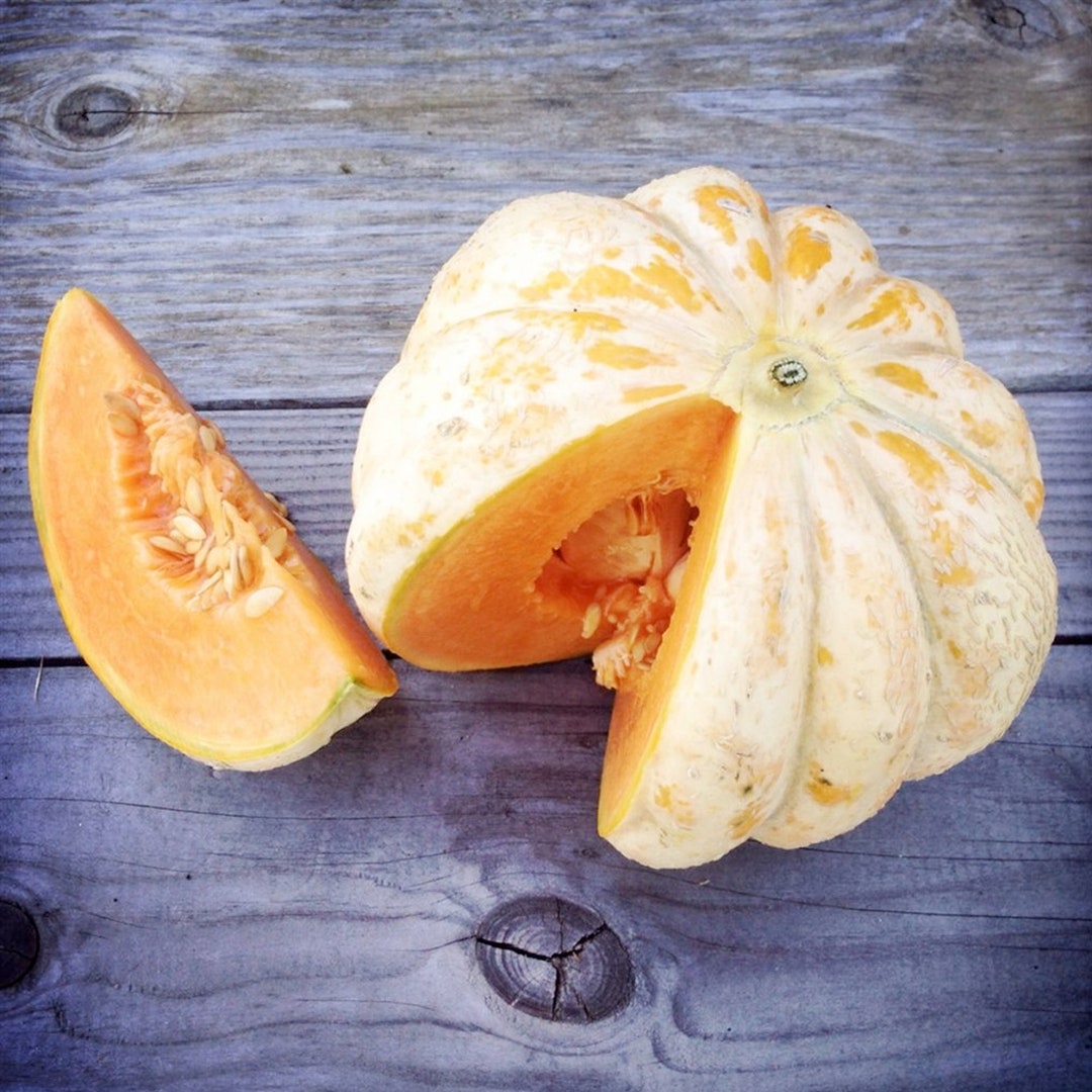 Délice de la Table Melon RARE héritage français 5 graines Etsy France