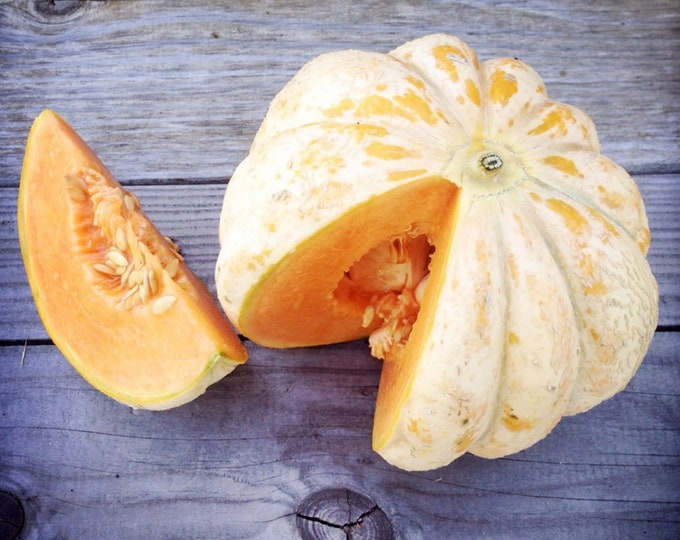 Delice de la Table Melon - RARE French heirloom 5 seeds