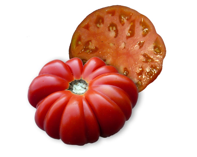 Costaluto Genovese Tomato - Heirloom 10 seeds