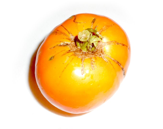 Orange Queen Tomato - RARE Heirloom 10 seeds