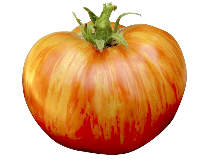 Mr. Stripey Tomato - Heirloom 10 seeds