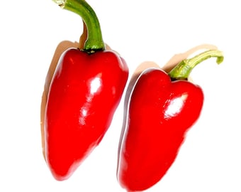 Espelette Basque Sweet Paprika Pepper - RARE Heirloom 20 seeds