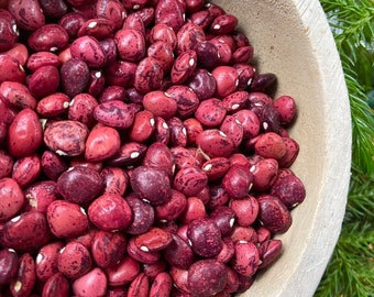 Dixie Speckled Butterpea Shelling Bean - Heirloom 15 seeds