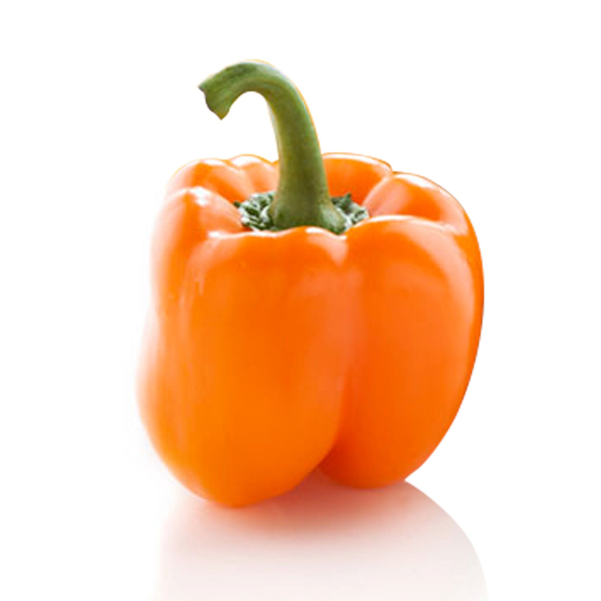 orange-horizon-bell-pepper-rare-heirloom-10-seeds