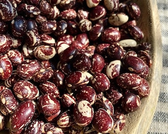 Good Mother Stallard Bean - Heirloom 15 seeds