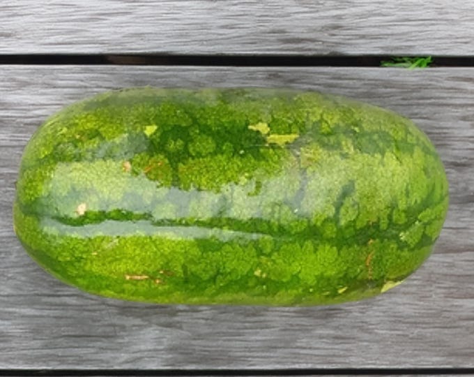 Sand Mountain Sunshine Watermelon - RARE heirloom 10 seeds