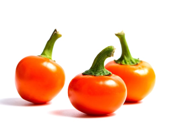 Cherry Bomb Hot Pepper - Heirloom 10 seeds