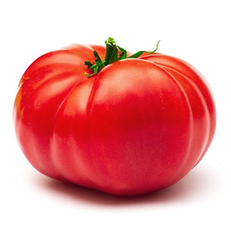 Giant Belgium Tomato Heirloom 10 Seeds Etsy