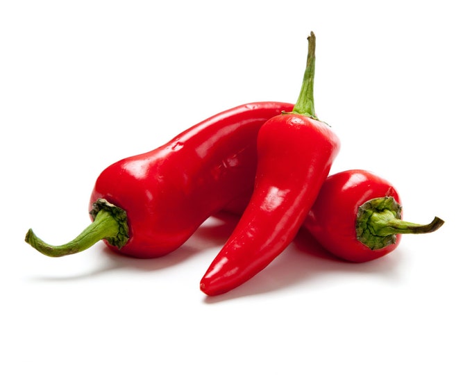 Red Fresno Sweet Pepper - Heirloom 10 Seeds