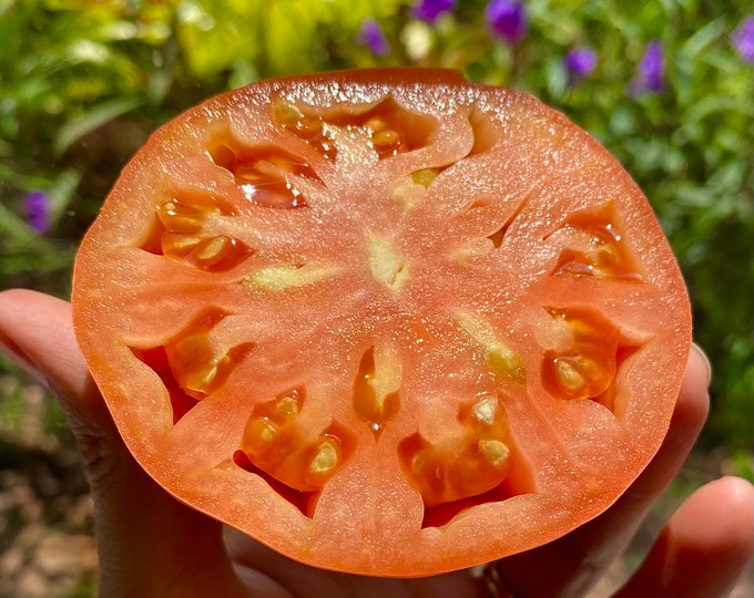 Hungarian Heart Tomato - Heirloom 20 seeds