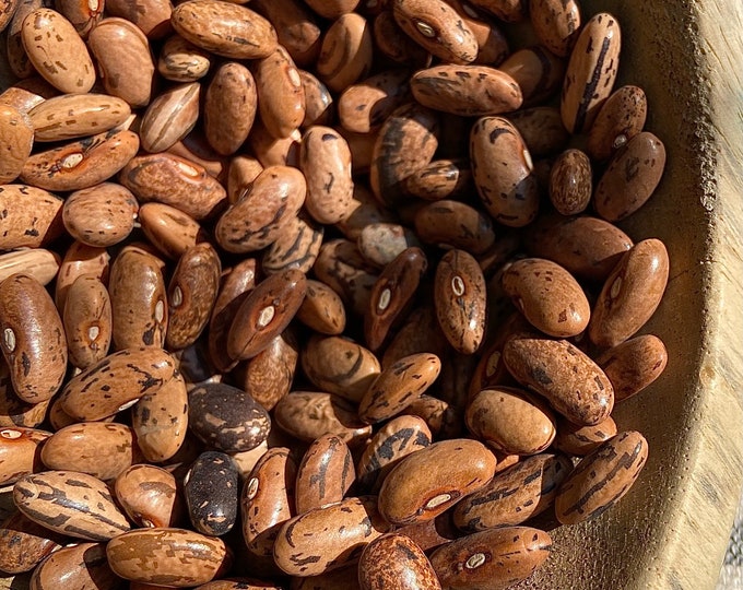 Rattlesnake Snap Bean - RARE heirloom 15 seeds