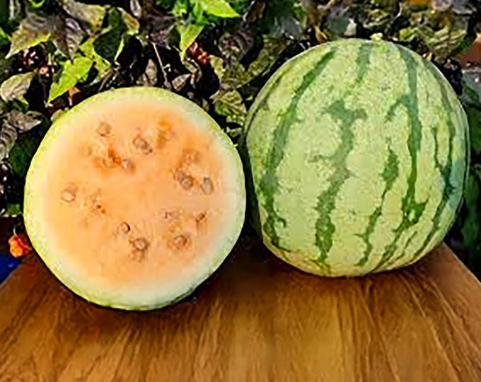 Clay County Yellow Meated Watermelon - RARE heirloom 10 seeds