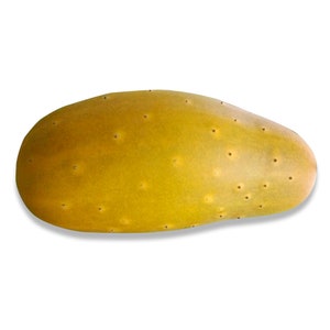Hmong Red Cucumber - VERY RARE Heirloom 15 seeds