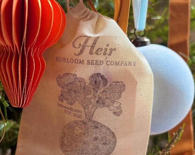 Green Dulcimer Cantaloupe - RARE heirloom 10 seeds