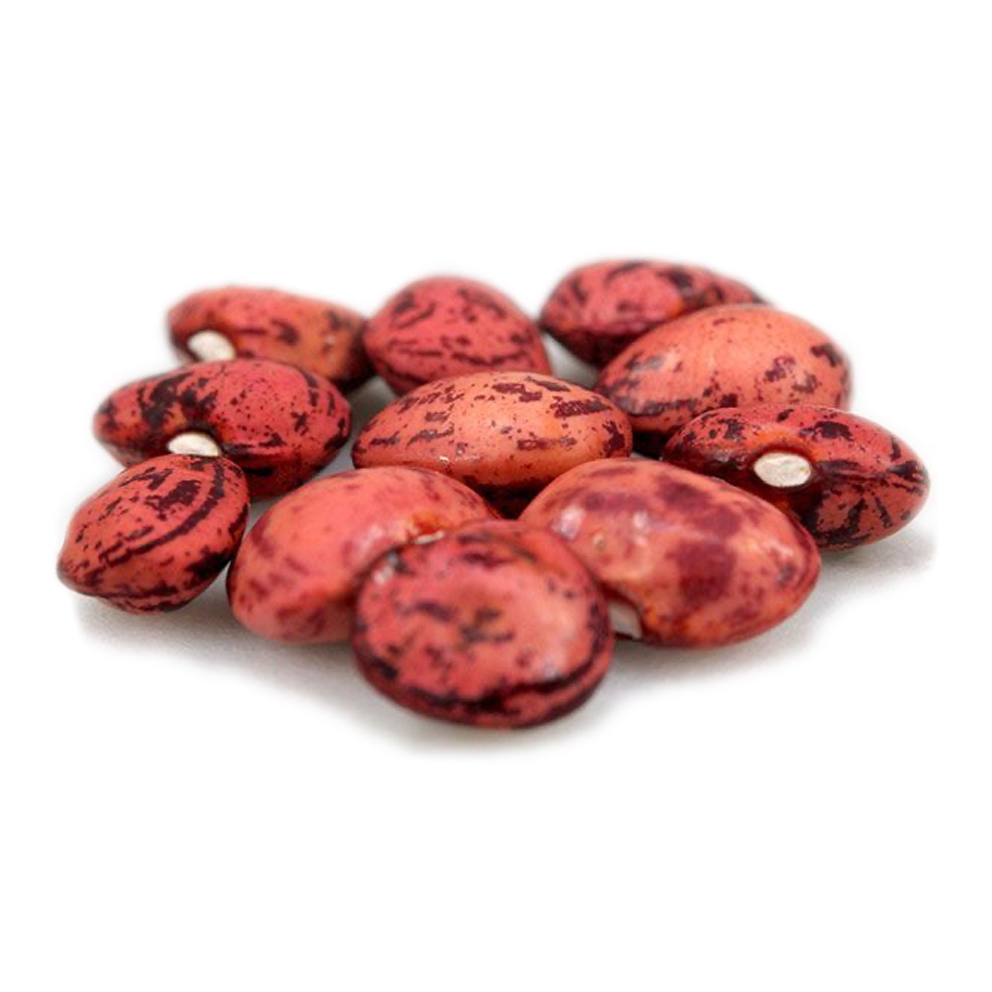 Dixie Speckled Butterpea Shelling Bean Heirloom 15 seeds