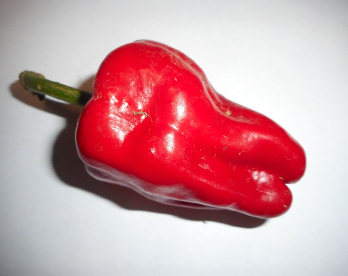 Leutshaur Paprika Hot Pepper - RARE Heirloom 20 seeds