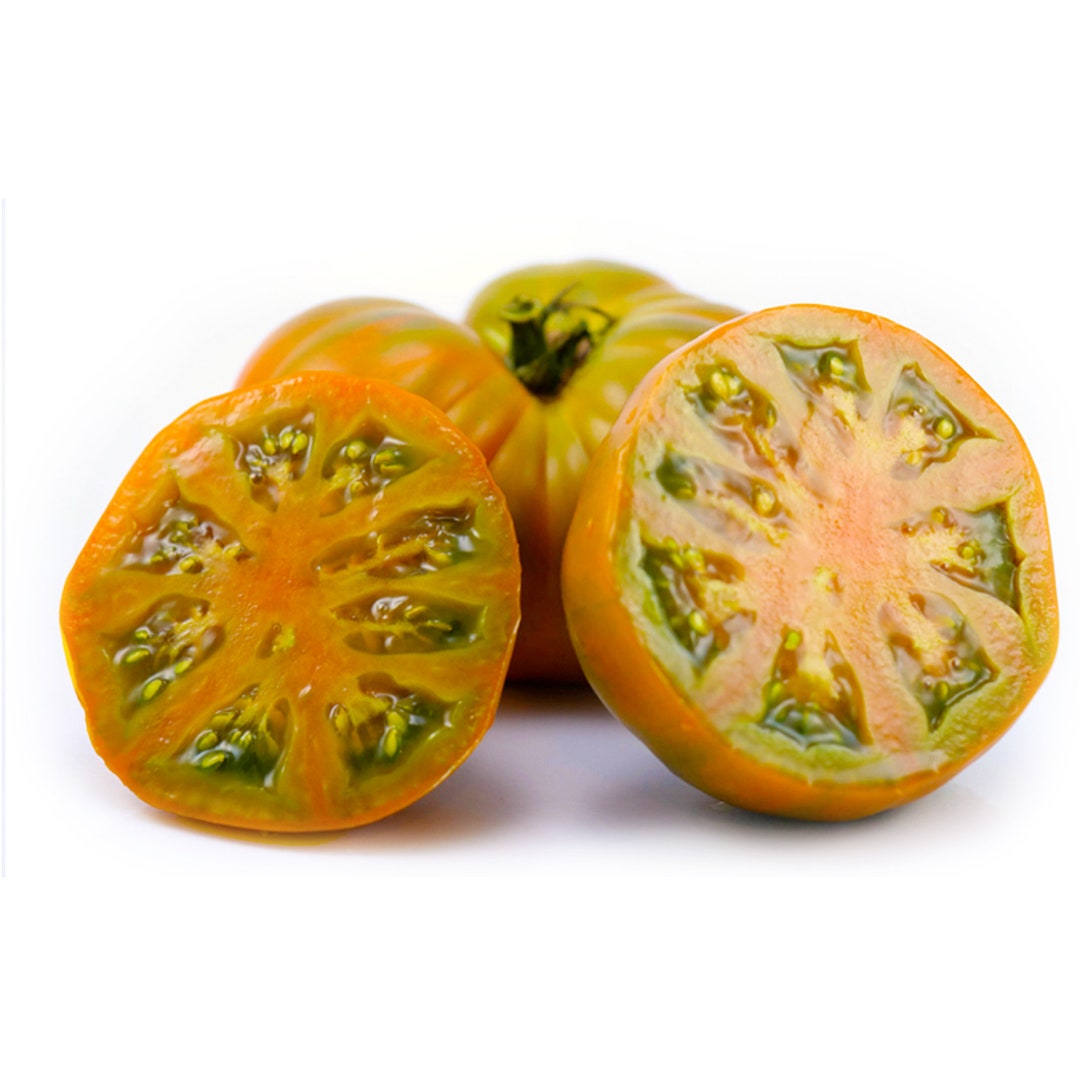 Terra Cotta Tomato RARE Heirloom 10 Seeds Etsy