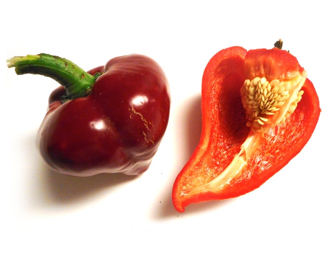 Lesya Sweet Pepper - RARE Heirloom 15 seeds