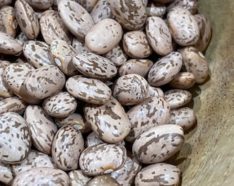 Pinto Bean - heirloom 20 seeds
