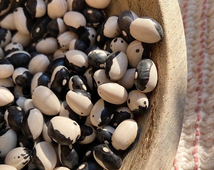 Calypso (Orca) Bean - Heirloom 15 seeds