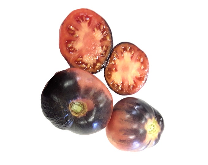 Indigo Apple Tomato - RARE heirloom 10 seeds