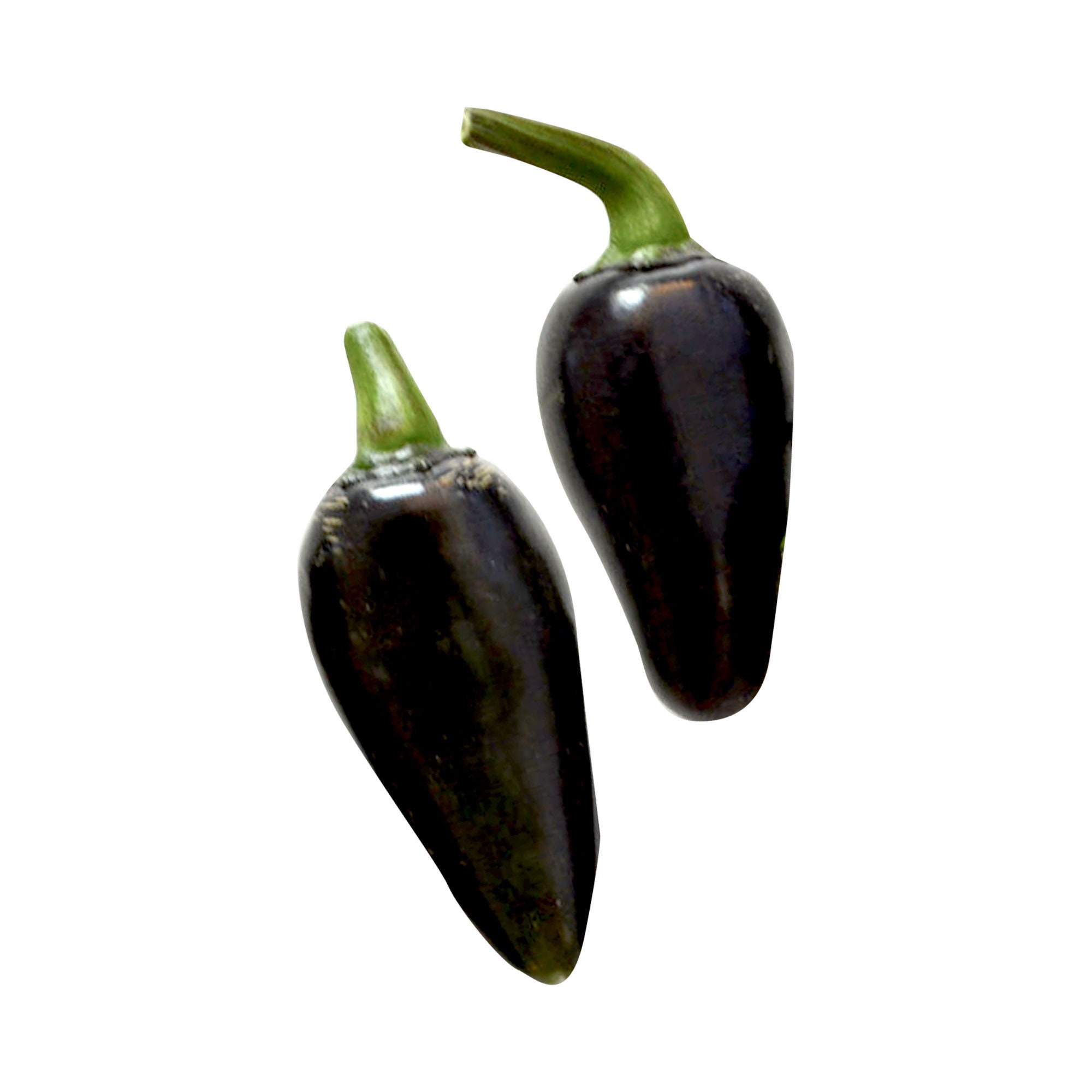 Hungarian Paprika Hot Pepper RARE Heirloom 15 Seeds hungarian-paprika-hot-pepper-rare-heirloom-15-seeds