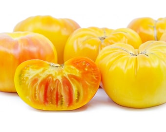 Pineapple Tomato - RARE heirloom 8 seeds