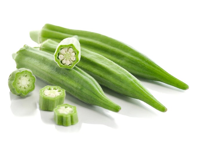 Clemson Spineless #80 Okra - Heirloom 20 seeds
