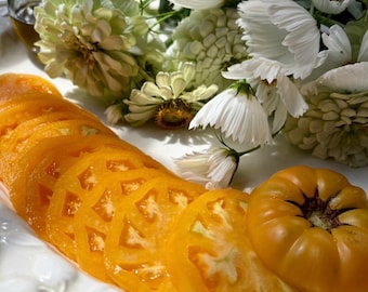 Butter n Eggs Tomato - RARE heirloom 10 seeds