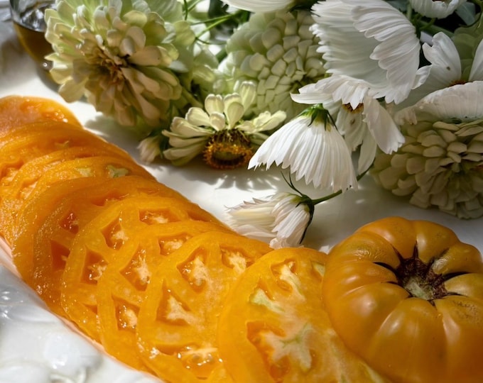 Butter n Eggs Tomato - RARE heirloom 10 seeds