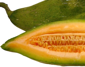 Banana Melon Cantaloupe - RARE heirloom 10 seeds
