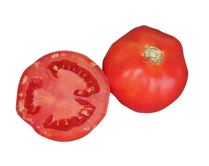 Red Moscow Tomato - RARE Heirloom 10 seeds