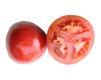 Bradley Tomato - heirloom 20 seeds