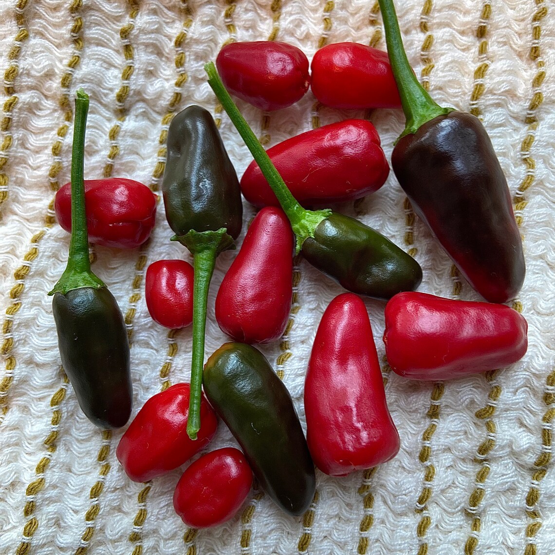 Pequin Chili Pepper Heirloom 10 Seeds Etsy